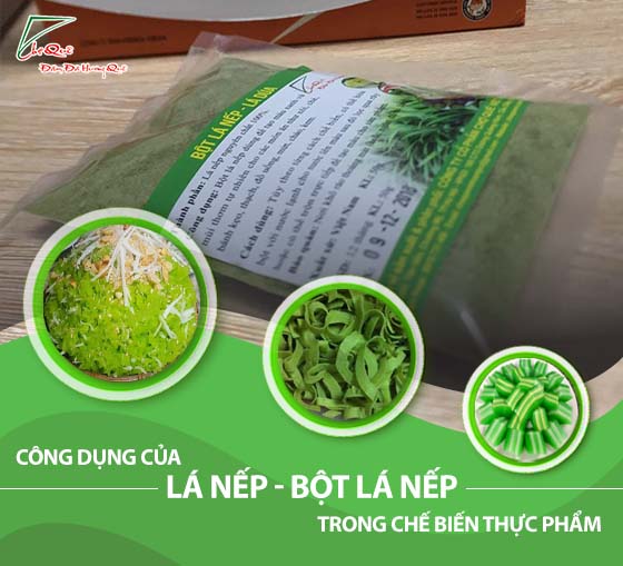 Tổng quan về cây lá nếp (cây lá dứa)